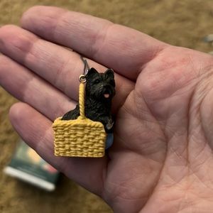 Toto from Wizard of Oz